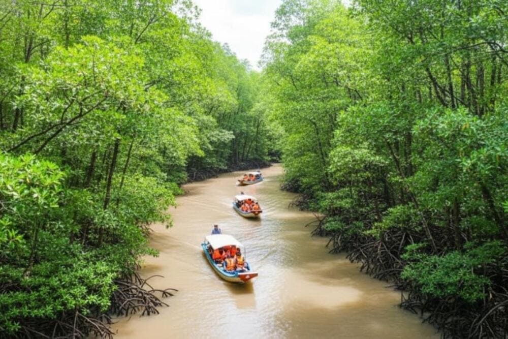 Rừng Đước Đất Mũi